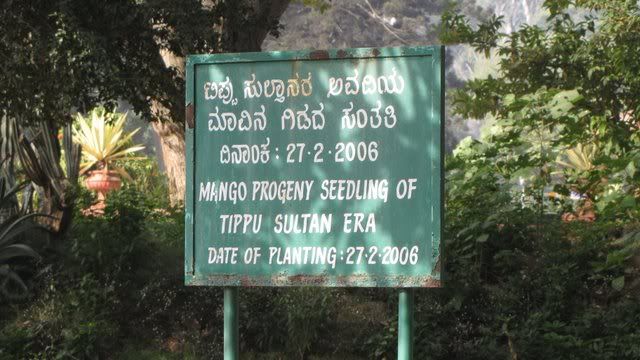 hyder tipu mango tree sign 090111