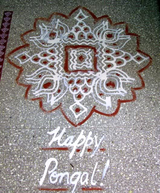 kOlam pongal 150111