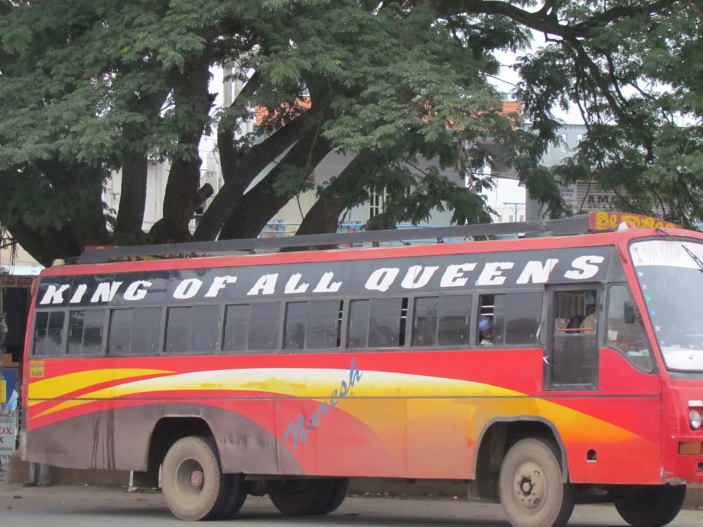 king of all qns 070811
