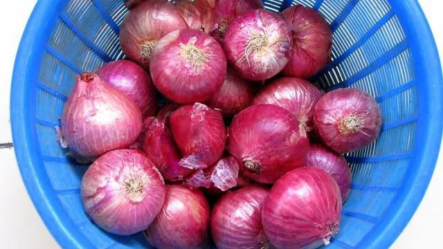 onions 211210