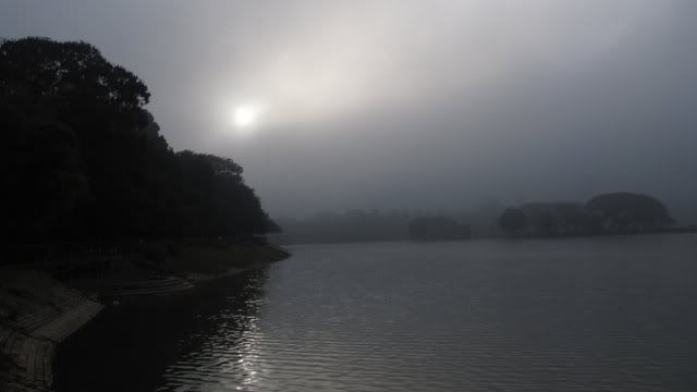 mist on lake 090111lb
