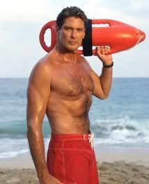 DavidHasselhoff.jpg