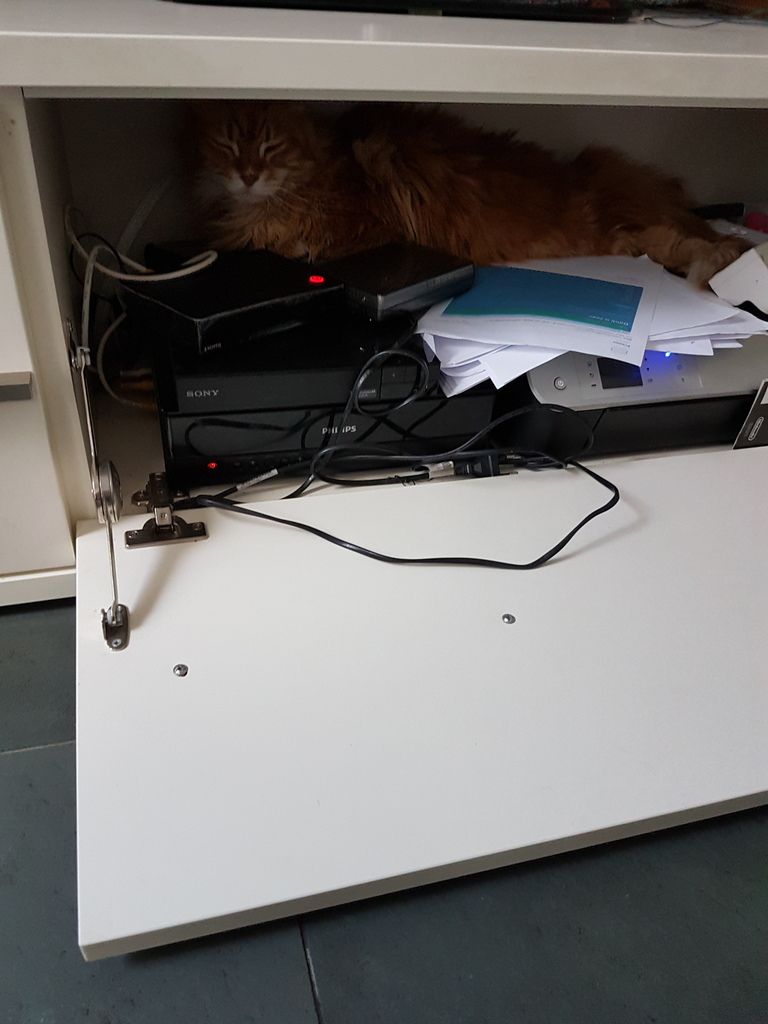 20190316_173842_zpskpcpk5sd.jpg