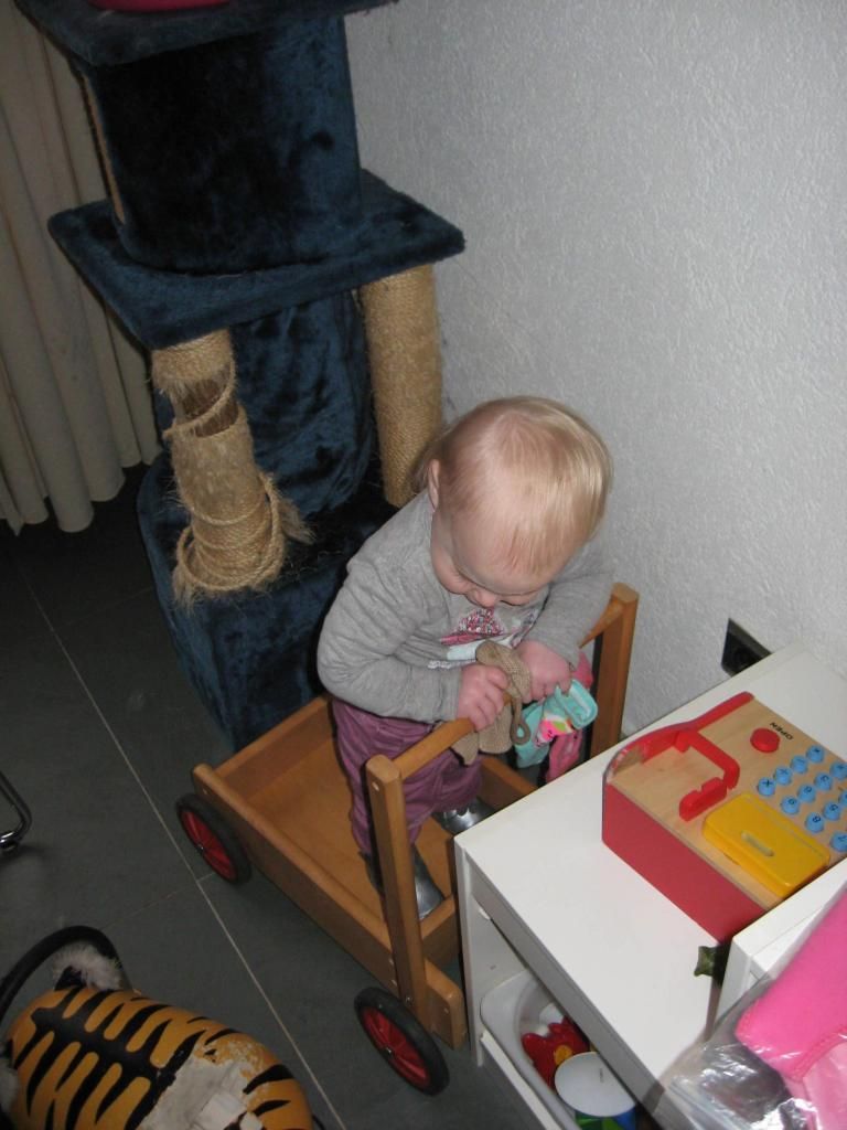 IMG_0673_zps3549551b.jpg