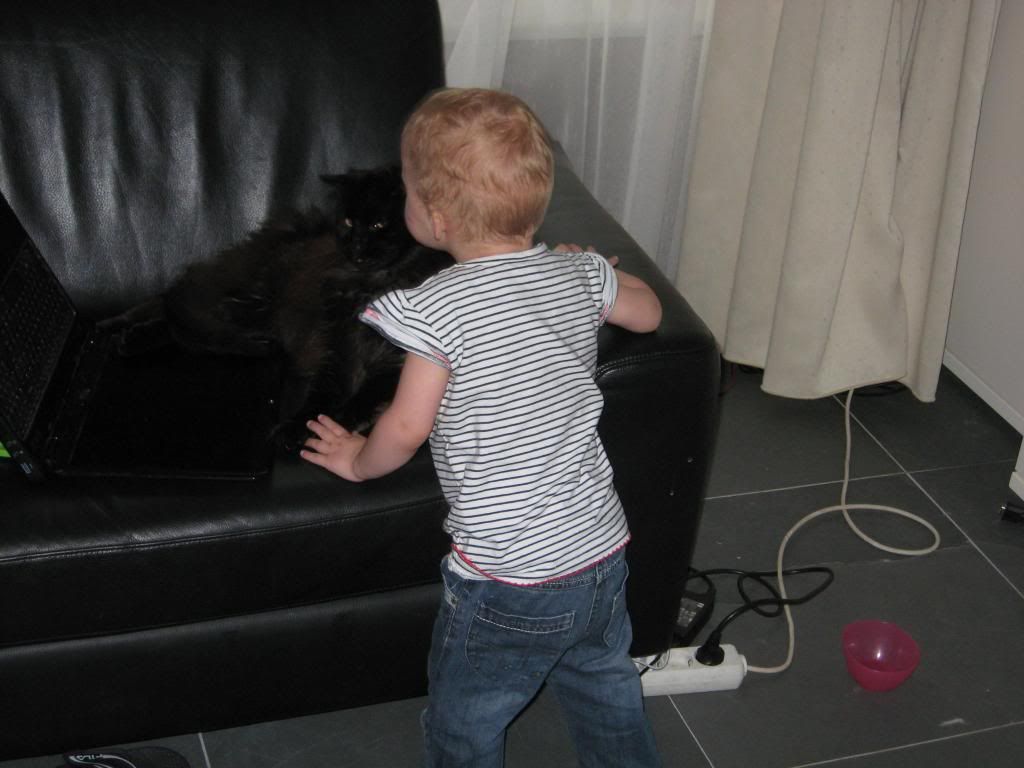 IMG_4097_zps079c45ba.jpg