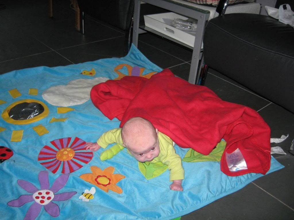 IMG_4465_zps188b4c2d.jpg