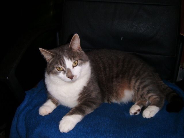 DSCF2711.jpg