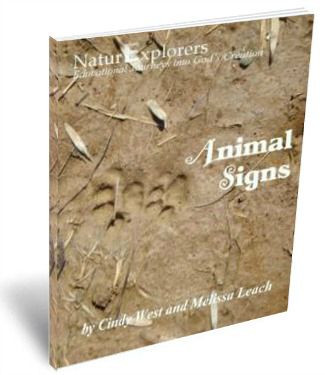 Animal-Signs-NaturExplorers-Post-By-ASliceOfHomeschoolPie