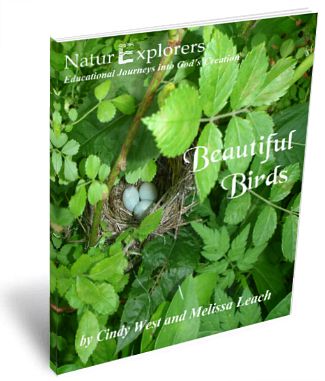 Beautiful-Birds-NaturExplorers-Post-By-ASliceOfHomeschoolPie