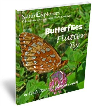 Butterflies-Flutter-By-NaturExplorers-Post-By-ASliceOfHomeschoolPie