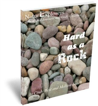 Hard-As-Rock-NaturExplorers-Post-By-ASliceOfHomeschoolPie