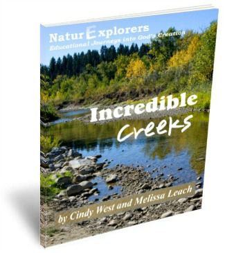 Incredible-Creeks-NaturExplorers-Post-By-ASliceOfHomeschoolPie