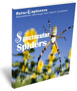 Spectacular-Spiders-NaturExplorers-Post-By-ASliceOfHomeschoolPie