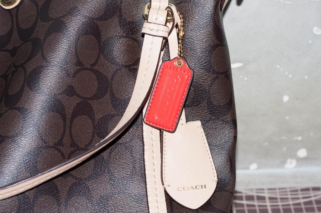 Túi xách Hiệu COACH - Dép ZARA - 3