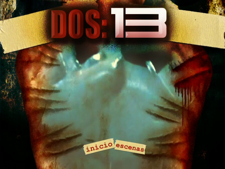 213cap1.png
