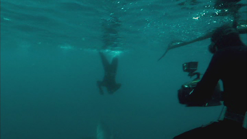 vlcsnap-2013-05-01-13h24m41s175_zps754d0
