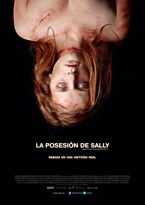 PosterLaPosesicentndeSally_zpscd79b646.j