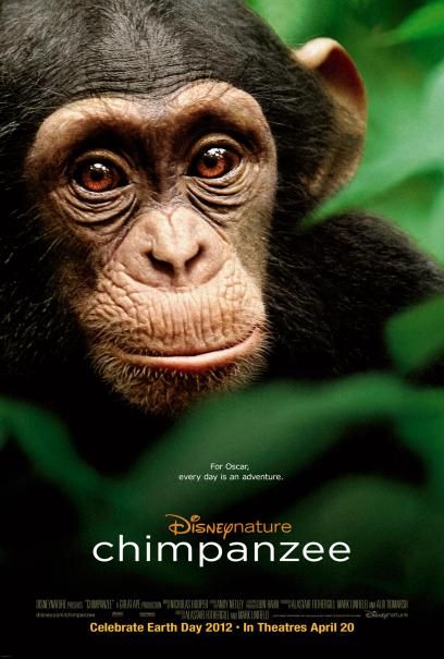 Chimpanzeedvdrip-1.jpg