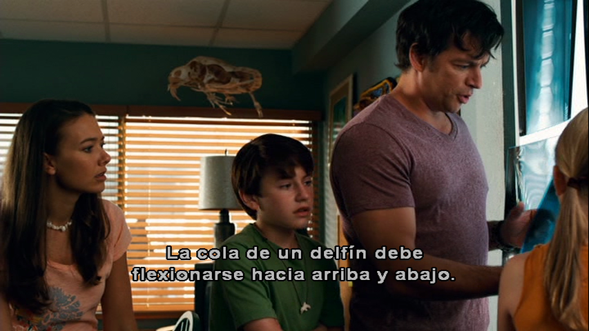 dolphintalecap-4.png