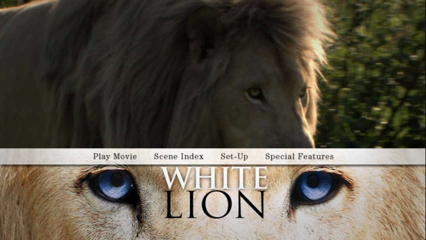 leoncap1.png