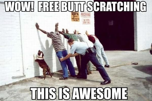 FreeButtScratching.jpg