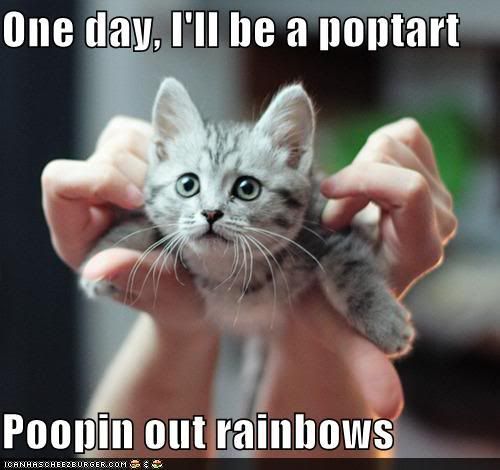 funny-pictures-one-day-ill-be-a-poptart-poopin-out-rainbows.jpg