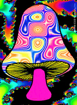 psychedelic-mushroom.gif