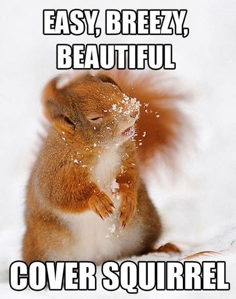 CoverSquirrel.jpg