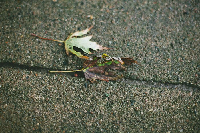 photo IMG_1418.jpg