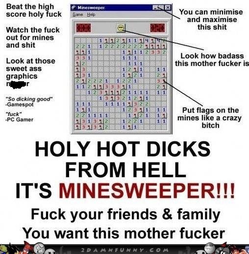 Minesweeper-You-Want-This_zpsaefc60a4.jpg?t=1368668154?475