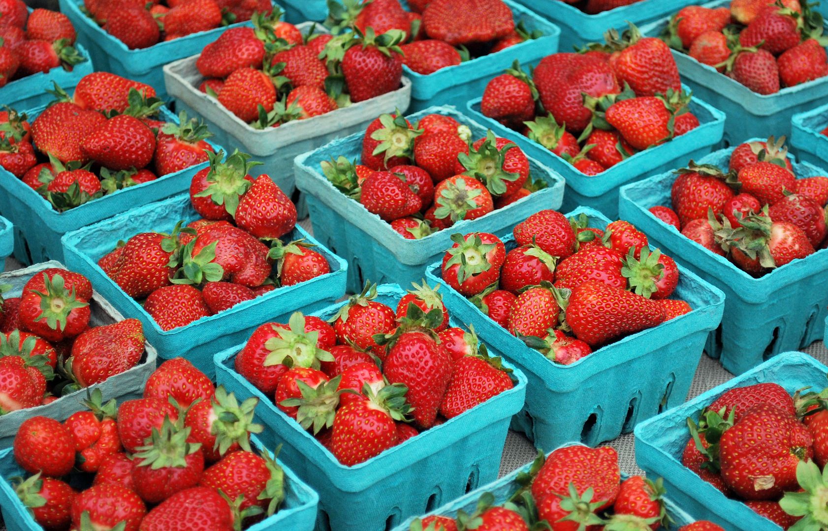  photo strawberries.jpg