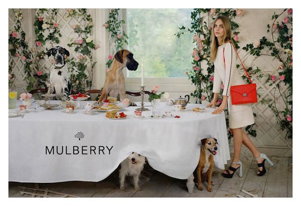 mulberry spring 2014 ad campaign
