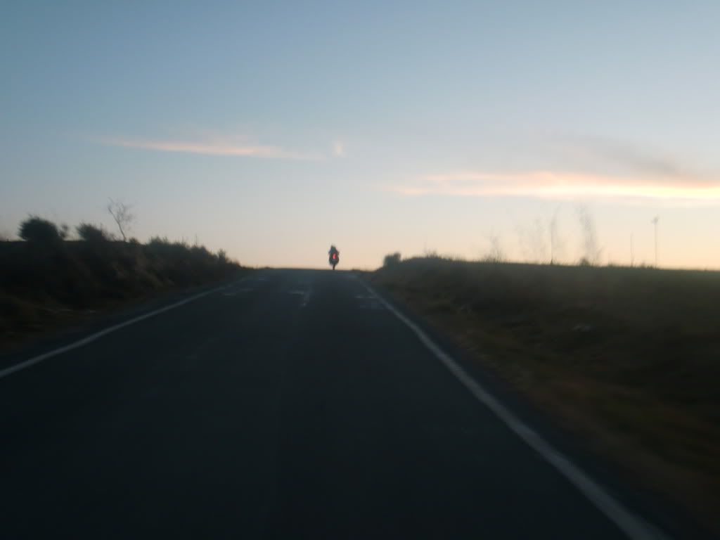 Guara2043.jpg