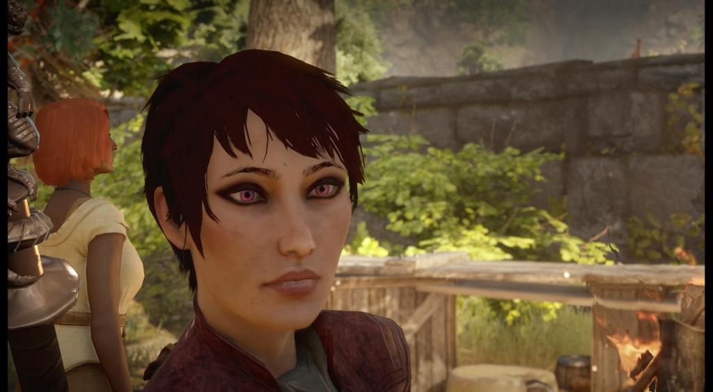 DragonAgeInquisition2015-01-1921-42-52-6