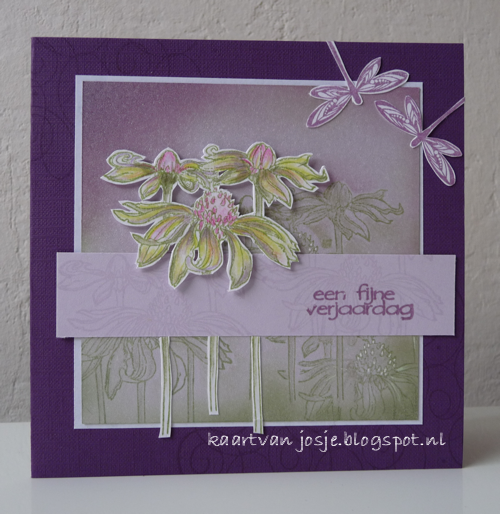 bloemen photo bloemen26_zps1dbcf9b2.png