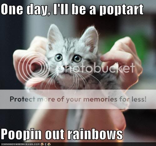 funny-pictures-one-day-ill-be-a-poptart-poopin-out-rainbows.jpg