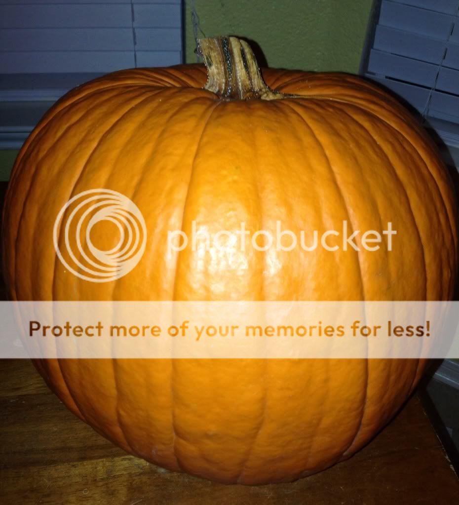 Show me your pumpkins ! - BabyCenter