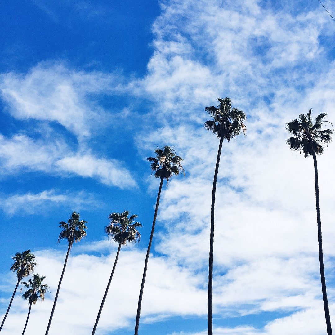 City Of Angels...And Palm Trees - ChiCityFashion